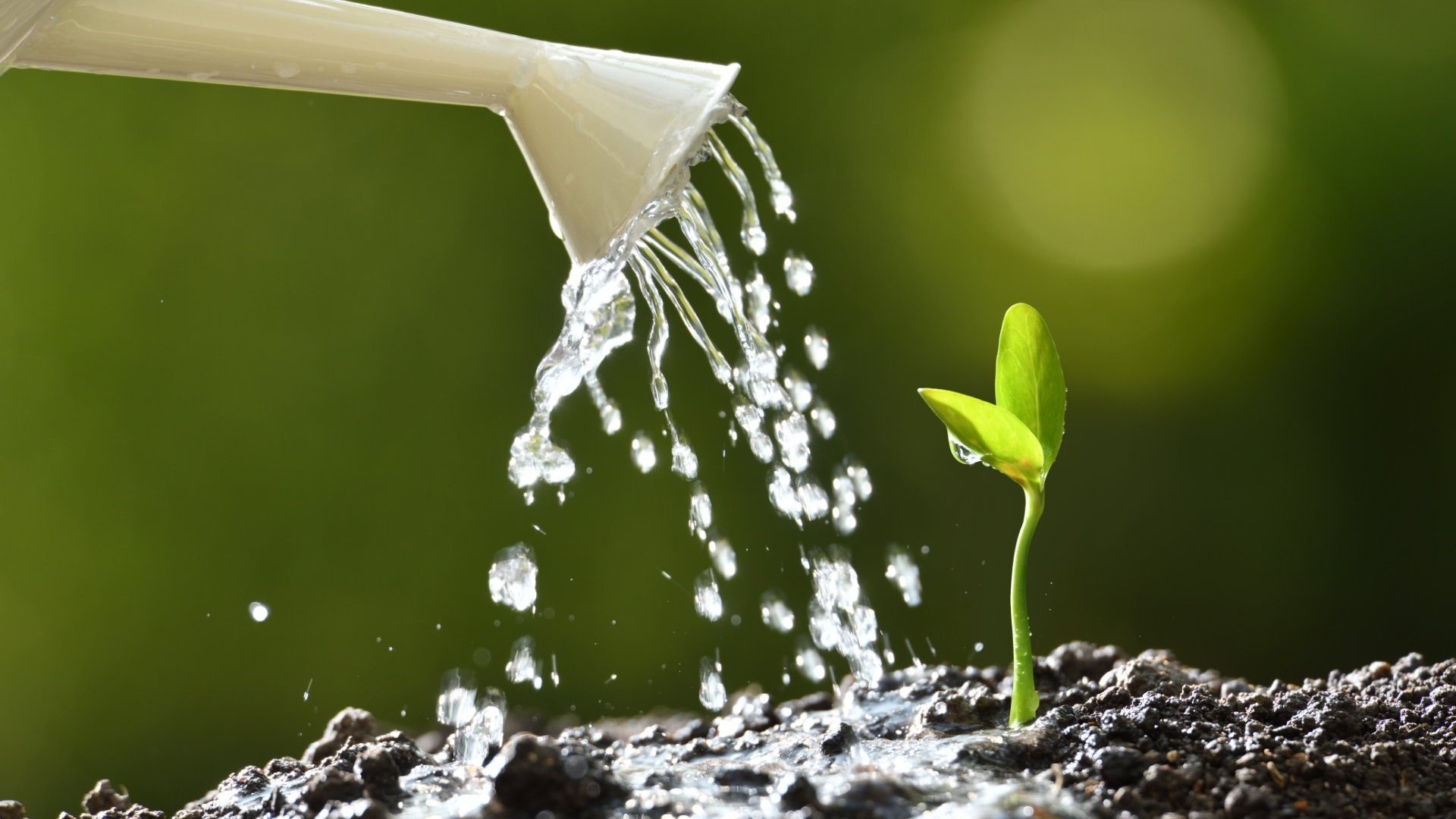 Webtek S.p.A. Siti Web Sondrio