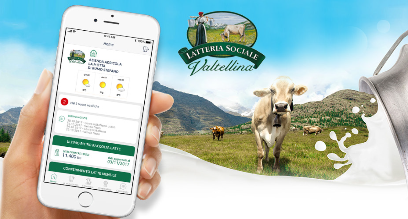 Webtek S.p.A. Siti Web Sondrio